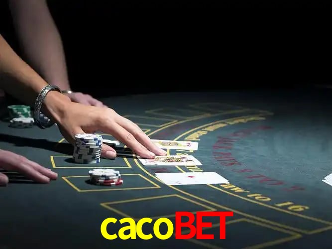 cacobet Curitiba - Statistics