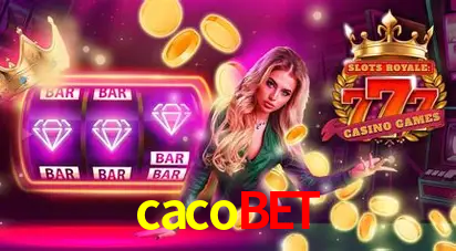 A Experiência Imersiva dos Cassinos Ao Vivo no cacobet